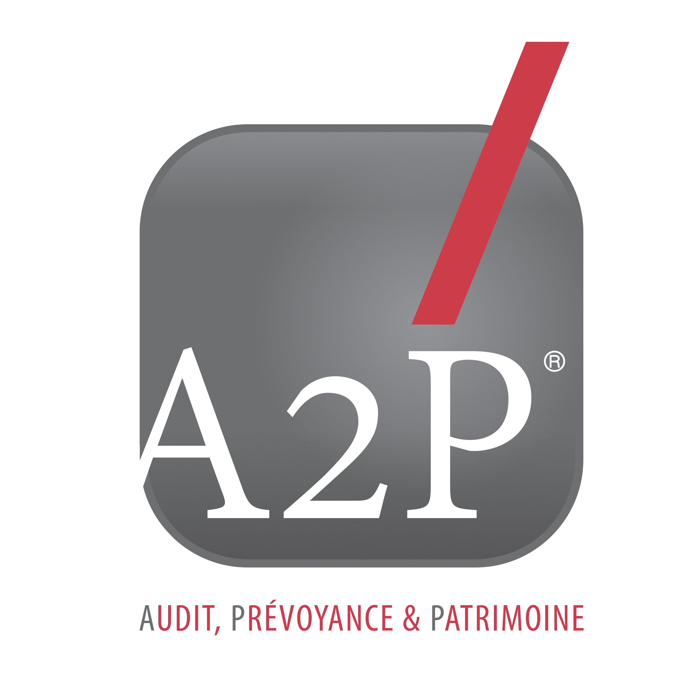 id105 - 130108-A2P_Logo_HD.jpg